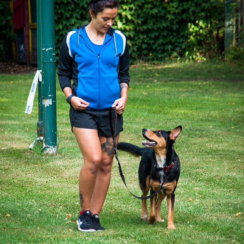 4.0 FT Bungee Dog Leash for Small, Medium and Large Dogs, Reflective Pet Training Long Traffic Leash with Car Seat Belt. (SMALL, BLACK)...