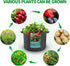 Plant Grow Bags 15 Gallons-5 Pack Multi-Purpose Nonwoven Fabric Pots with Durable Handles,Outdoor Garden Plant Pots for Vegetables Fruits Flowers ...