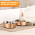 Neater Pet Brands Hammered Decorative Designer Bowls - Luxury Style Premium Dog and Cat Dishes (Large, Copper)...