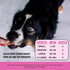 Pet Honesty Multivitamin Puppy Treats - Essential Dog Supplements & Vitamins for Learning and Cognitive Development- Probiotics, Omega Fish Oil fo...