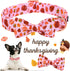 ARING PET Fall Dog Collar Bowtie, Cute Thanksgiving Turkey Dog Collar with Bow, Cotton Maple Leaf Rugby Dog Collar with Metal Buckle for Small Med...