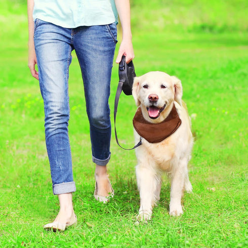 22 Pcs 50s Retro Chiffon Sheer Square Neck Head Scarf for Women Handkerchief Lightweight Satin Ribbon Scarf Hemmed Sheer Neck Scarf Juggling Dance...