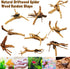 Hamiledyi Driftwood for Aquarium,Natural Spider Wood Reptile Branches Fish Tank Log Ornament Aquarium Trunk Decoration 4 Pcs?8-10inch?...