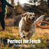 Indestructible Dog Ring Toy, Blue - Tough Dog Pull Toys for Aggressive Chewers, Dog Flying Disc for Fetch, Tug of War and Dog Training...