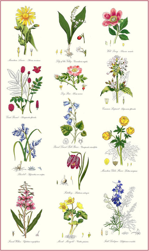 Samuel Lamont, Botanic Garden Kitchen/Tea Towel, 100 Percent Cotton, Imported from UK...