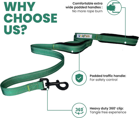 Heavy Duty Dog Leash for Small to Large Dogs - 6 ft Long with Comfortable Padded Larger Double Handles for Training, Walking, Running. Reflective ...