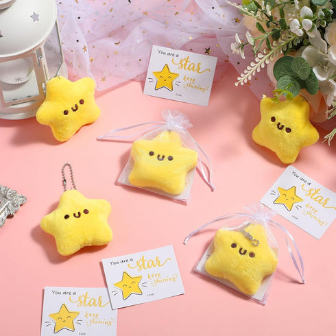 25 Sets Back to School Gifts Star Keychain Cute Plush Star Keychains You Are a Star Cards Organza Bags for School Students...