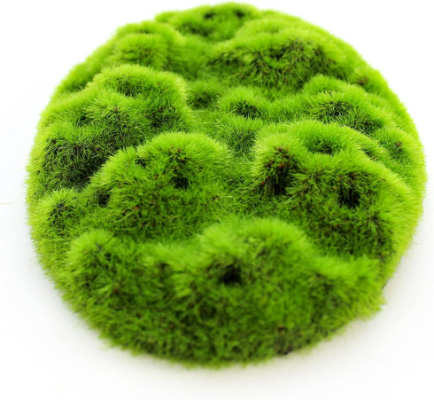 Penn-Plax Aqua-Flora Aquarium Living Resin Decoration with Embedded Glosso Plant Seeds – Moss Patch – Safe and Healthy for Freshwater Fish...