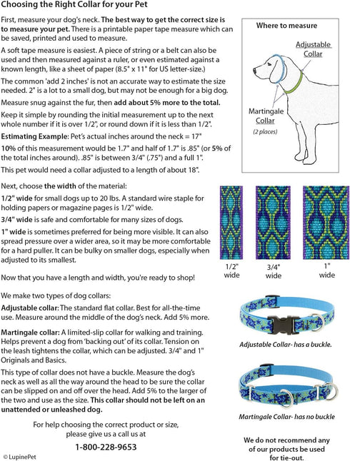 LupinePet Originals 3/4" Turtle Reef 13-22" Adjustable Collar for Medium and Larger Dogs...