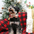 ARING PET Christmas Dog Collar-Cute Cotton Dog Collar with Bow, Adjustable Pink Christmas Pet Collars Puppy Collars with Metal Buckle...