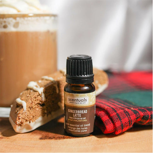 Fragrance Essential Oil Blend Gift Set (Holiday Set) 3 x 10ml / 3 x 0.34fl.oz...