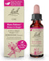 Bach Original Flower Remedies, Oak for Endurance and Strength (Non-Alcohol Formula), Natural Homeopathic Flower Essence, Holistic Wellness and Str...