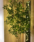 Lighting EVER Fairy Lights Plug in, 33ft 100 LED String Lights for Bedroom, Warm White Copper Wire Lights, Waterproof Indoor Outdoor Decorative Fa...