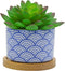 Cute Colorful Japanese Style Ceramic Succulent Cactus Flower Plant Pots with Bamboo Tray (Plant Not Included)...