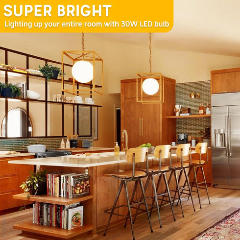 250-300W Equivalent LED Light Bulbs, 3000 Lumens Warm White 3000K 30W A30 LED Bulbs for Garage, Warehouse, Workshop, Commercial, Hotel, Backyard, ...