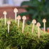 Miniature Mushroom,Handmade Small Mushroom,DIY Miniature Landscape Accessories,Moss Wreath Accessories,Miniature Fairy Garden Supplies,Desktop Min...