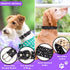 Rhinestone Leather Dog Collar Bling Dog Collars for Small Medium Large Dogs - Soft Microfiber Leather with Adjustable Stylish Sparkly Diamonds Stu...