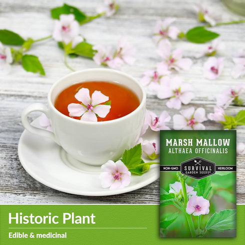 Marsh Mallow Seed for Planting - 1 Packet with Instructions to Plant and Grow Rare Medicinal Flowering Herbs in Your Home Vegetable Garden - Non-G...