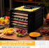 13 x 12 Inches Dehydrator Trays Compatible with CP267-FD Only Stainless Steel Dehydrator Drying Mesh Screens Stainless Steel Tray for Dehydrator D...