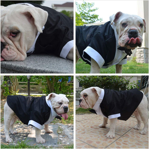 Lovelonglong Pet Costume Dog Suit Formal Tuxedo with Black Bow Tie for Small Size Dogs Miniature Schnauzer Clothing Black L...