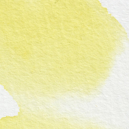 Winsor & Newton Professional Water Colour Paint, 0.47-oz Tube, Winsor Lemon...