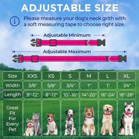 TECEUM Reflective Pet Collar – Hot Pink – L – Basic Nylon Dog Collar – Quick Release Buckle – Fits Small, Medium and Large Dogs, Puppies, Cats – E...