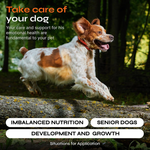 Dog Vitamins 15 in 1 - Dog Multivitamin Chews - Joint Supplement for Dogs - Dog Vitamins & Supplements for Hip & Joint, Immune System, Coat & Mobi...