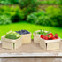 Cornucopia Brands Quart Wooden Berry Baskets (8-Pack); 5.75-Inch Square Vented Wood Boxes for Fruit Picking, Easter or Arts & Crafts...