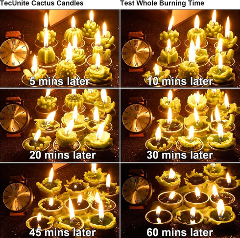 12 Pieces Cactus Tealight Candles Handmade Delicate Succulent Cactus Candles for Party Wedding Spa Home Decoration Gifts...