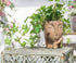Head Planters for Indoor Plants, Face Flower Pot Head Planter Succulent Planters Unique Face Planter with Drainage Hole - Rustic Thinking Girl Clo...