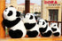 Lazada Stuffed Animal Panda Bear Baby Girl Gifts Panda Toys 6.5"...