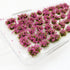 Cayway 159 PCS Static Grass Tuft Model Grass Tufts Railway Artificial Grass 3 Color Bushy Tuft Flower Cluster Vegetation Groups for DIY Architectu...