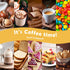 Fragrance Oil for Candle & Soap Making, Holamay Coffee Shop Premium Aromatherapy Essential Oils for Diffuser - Espresso, Cafe Mocha, Chocolate, Al...