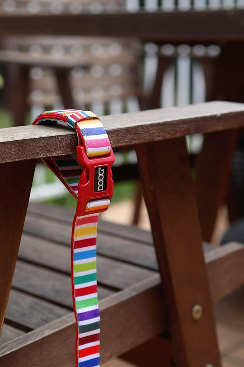 Neoprene Dog Leash SCOOBY - Large...