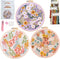 Myfelicity Embroidery kit, Adult Embroidery Material Set with Cute Flowers and Plants Patterns. 3 Embroidery Clothes and Colors Threads. 1 Hoop. (...