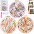 Myfelicity Embroidery kit, Adult Embroidery Material Set with Cute Flowers and Plants Patterns. 3 Embroidery Clothes and Colors Threads. 1 Hoop. (...