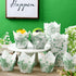 Gerrii 200 Pcs Green Flower Tulip Cupcake Liners Paper Baking Cups Cupcake Wrappers Tea Parties Mini Muffin Case Trays for Wedding Bridal Party Ba...