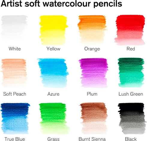 Winsor & Newton Studio Collection Artist Pencils, Watercolor Pencils, Set of 12...