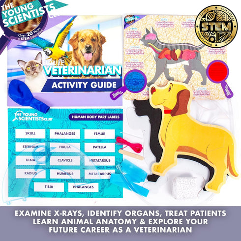 Future Veterinarian Career Kit, 10+ Activities, Includes Interactive Learning Guide, Foam Dog, & Secret Message Viewers, Animal Science Kits for K...
