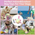 Dog Toys Soccer Ball with Straps, Durable Dog Balls for Tug of War, Puppy Birthday Gifts, Dog Water Toy Small Dogs-Rainbow?5 Inch?...