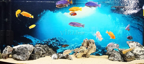 Aquarium Background Poster Under Water Cave Sunlight Fish Tank Backdrop Decorations PVC Fish Tank Background (30" x 18"/ 76 x 46cm)...