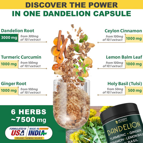 Dandelion Root Supplement 7500mg 6in1 for Digestion, Heart Health & Immune - Blended with Ginger, Turmeric Curcumin, Ceylon Cinnamon, Lemon Balm &...