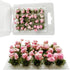 Woohome Flower Cluster Flower Vegetation Groups Grass Tufts Miniature Static Scenery for DIY Architecture Building Model Railway Train Diorama Gar...