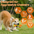 Dog Toys, 3 Pack Indestructible Tough Dog Chew Toys for Aggressive Chewers, Nylon Dog Bones Toys with Bacon Flavor Dinosaur Teething Chew Toys for...
