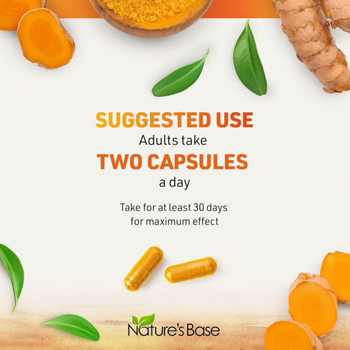 Turmeric and Ginger Supplement - Tumeric Curcumin Joint Support Pills - with Apple Cider Vinegar & BioPerine Black Pepper - 95% Curcuminoids - 60 ...