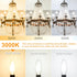 Cotanic E12 LED Bulb Dimmable 3000K Soft White, LED Candelabra Bulbs 60Watt Equivalent, Small Base Type B Light Bulbs, Candle Shape Chandelier Lig...
