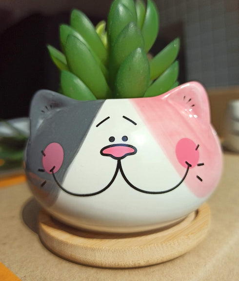 Cute 3.5 Inches Indoor Cartoon Animal Cat Shaped Ceramic Succulent Cactus Flower Plant Pots with Bamboo Tray (Plant Not Included) (Grey)...