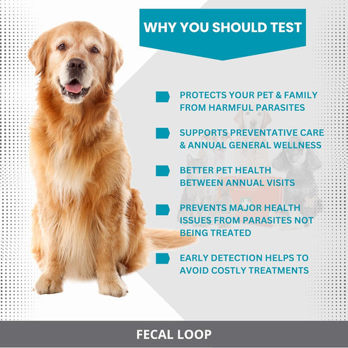 Fecal Loop for Small and Medium Animals, Stool Sample Collection Kit for Small Dogs, Goats, Sheep and Other Small Animals. Take Stool Samples Quic...