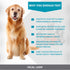 Fecal Loop for Small and Medium Animals, Stool Sample Collection Kit for Small Dogs, Goats, Sheep and Other Small Animals. Take Stool Samples Quic...