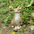 Top Collection Miniature Fairy Garden and Terrarium Rabbit Playing with Bird Statue...